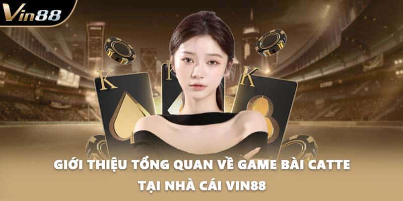 Giới thiệu tổng quan về game bài Catte tại nhà cái VIN88