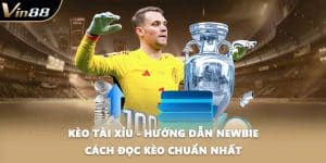 Kèo Tài Xỉu - Hướng Dẫn Newbie Cách Đọc Kèo Chuẩn Nhất