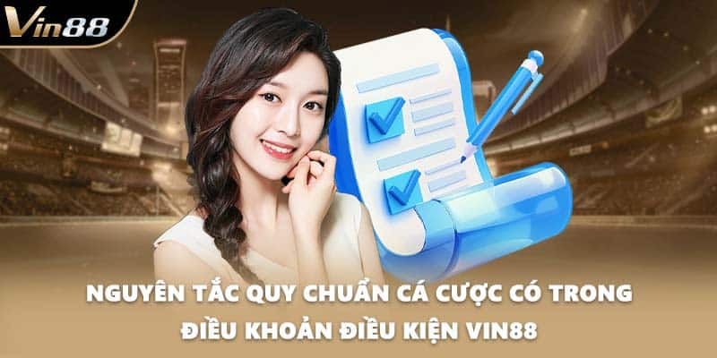 Nguyên tắc quy chuẩn cá cược có trong điều khoản điều kiện VIN88