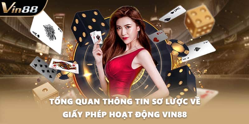 Tổng quan thông tin sơ lược về giấy phép hoạt động VIN88